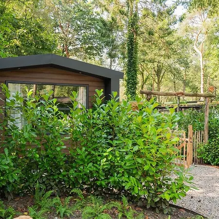 Chalet Wild Flower Wellness Met Hot Tub En Sauna In Prachtige Tuin En Overkapping Hoenderloo