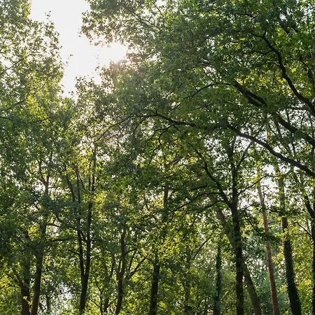 Wild Flower Wellness Met Prive Sauna En Hottub In Prachtige Tuin Met Overkapping * Hoenderloo