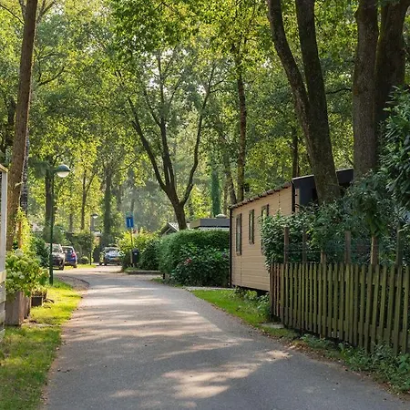 Wild Flower Wellness Met Prive Sauna En Hottub In Prachtige Tuin Met Overkapping Chalet