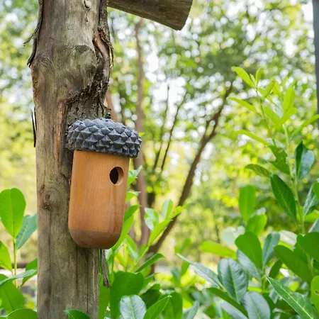 Wild Flower Wellness Met Hot Tub En Sauna In Prachtige Tuin En Overkapping Hoenderloo