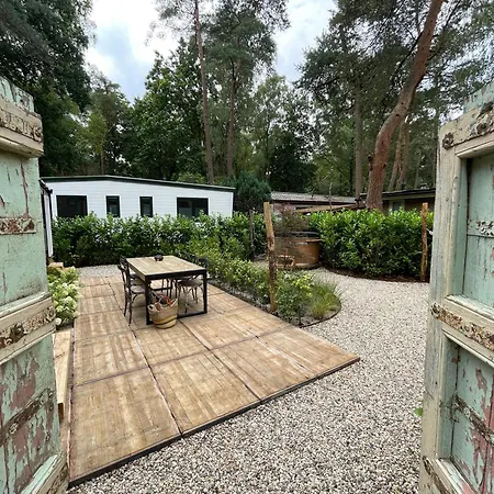 Wild Flower Wellness Met Prive Sauna En Hottub In Prachtige Tuin Met Overkapping Chalet