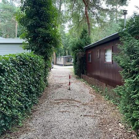 Wild Flower Wellness Met Prive Sauna En Hottub In Prachtige Tuin Met Overkapping * Hoenderloo