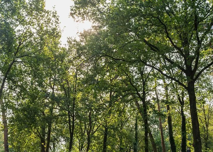 Wild Flower Wellness Met Prive Sauna En Hottub In Prachtige Tuin Met Overkapping * Hoenderloo