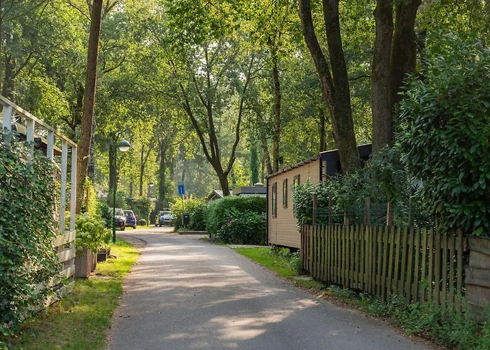 Wild Flower Wellness Met Prive Sauna En Hottub In Prachtige Tuin Met Overkapping Alpstuga