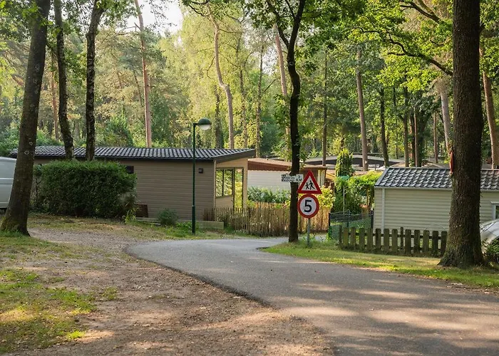 Alpstuga Wild Flower Wellness Met Prive Sauna En Hottub In Prachtige Tuin Met Overkapping Hoenderloo