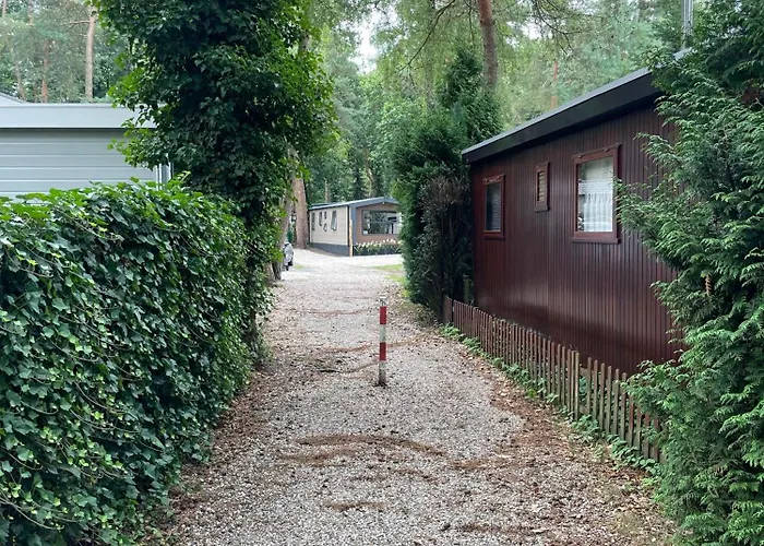 Wild Flower Wellness Met Prive Sauna En Hottub In Prachtige Tuin Met Overkapping * Hoenderloo